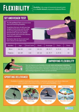 Flexibility - Laminated A1 Poster