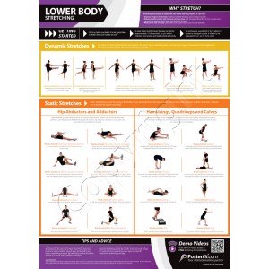 Lower Body Stretching A1 Laminated poster (840mm X 595mm)